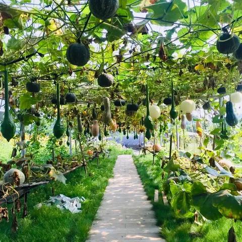 成都市看小动物哪里好一点