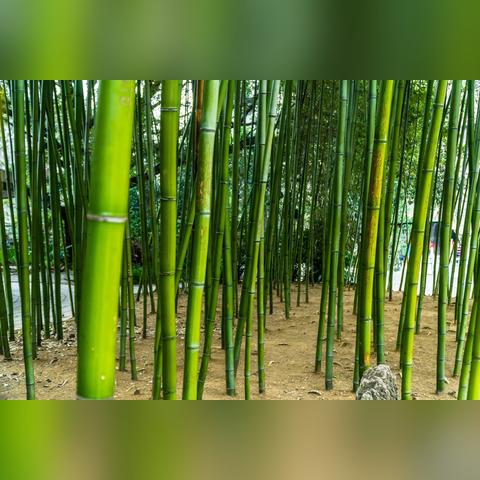 桂林市哪个庙比较灵验些