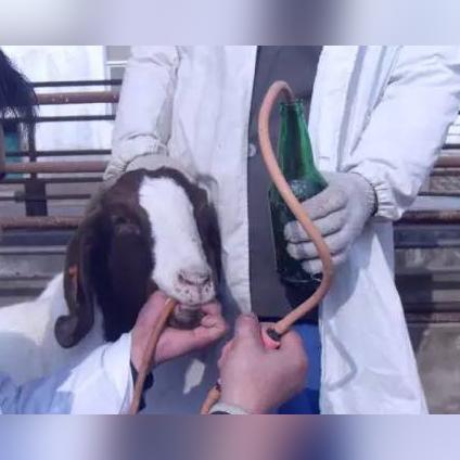 保定市钢管租赁站的长尾关键词有哪些