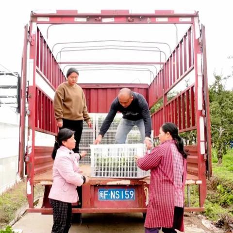 桂林南山农场地址相关长尾关键词有哪些
