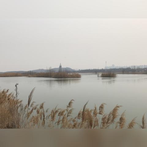 石家庄市打卡公园的长尾关键词有哪些
