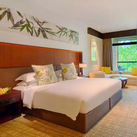 杭州宠物医院口碑哪家好？有排名吗？