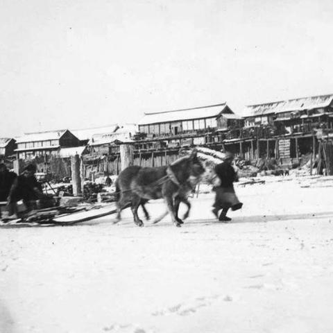 沈阳运输集团有限公司相关长尾关键词有哪些