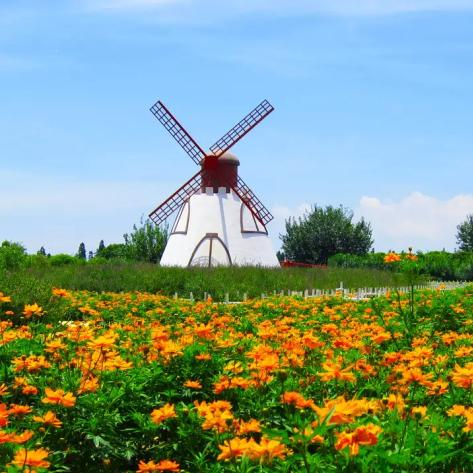 百万葵园门票团购(百万葵园门票政策) 百万葵园门票团购(百万葵园门票政策)