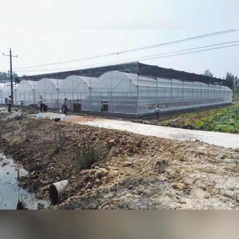 合肥连栋大棚相关长尾关键词有哪些