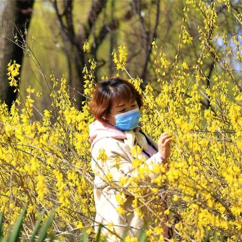 济南市植物园有什么