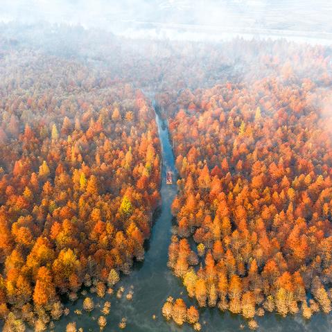 十一月去安徽怎么样