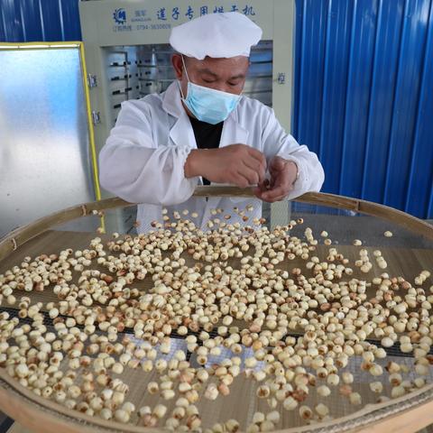 杭州市荷叶村在哪个区