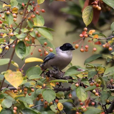 19影像西安相关长尾关键词有哪些