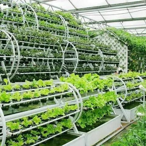 详细阅读:植物大战僵尸融合版免费下载(植物大战僵尸融合版免费下载攻略) 植物大战僵尸融合版免费下载(植物大战僵尸融合版免费下载攻略)