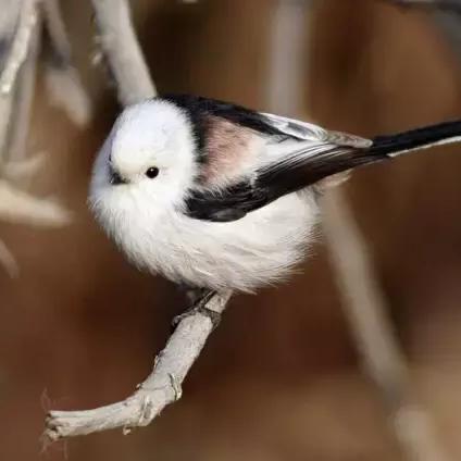 新疆做什么工作好的长尾关键词有哪些