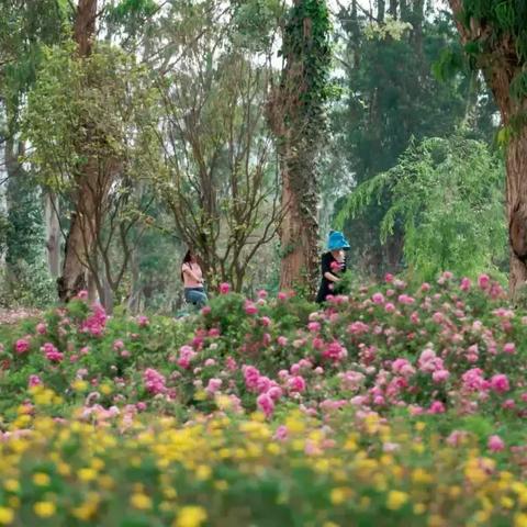 昆明市教场路房价多少钱