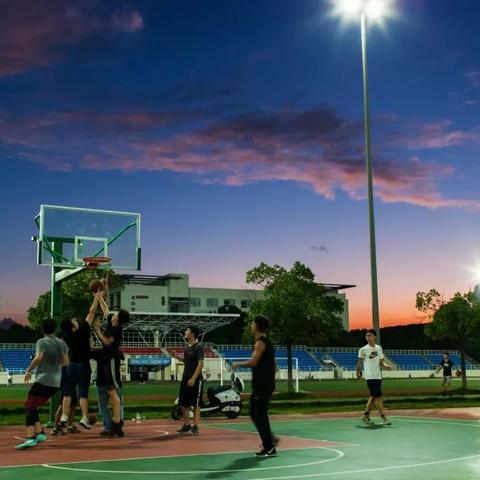 苏州市职业大学属什么区
