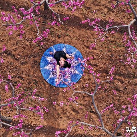 成都市百亩桃花园房价的长尾关键词有哪些