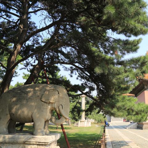 沈阳市第23中学怎么样