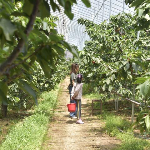 大连市塑料城在什么地方