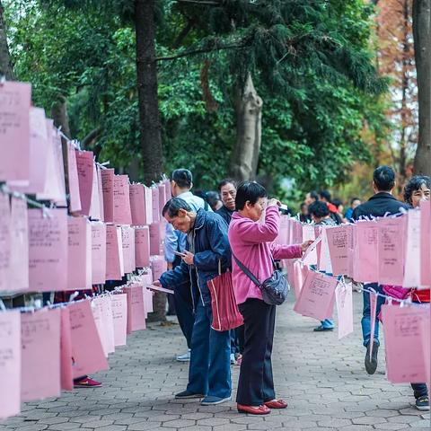 广州市再婚登记要带什么