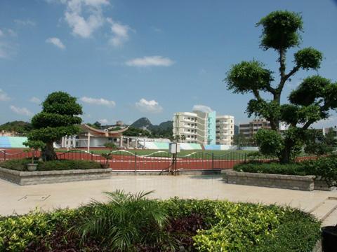 柳州市高级中学实力榜:揭秘最具潜力高校的荣耀排行