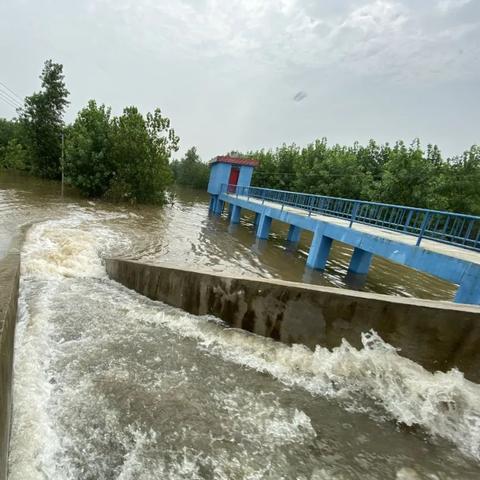 哈尔滨东升家园几期相关长尾关键词有哪些