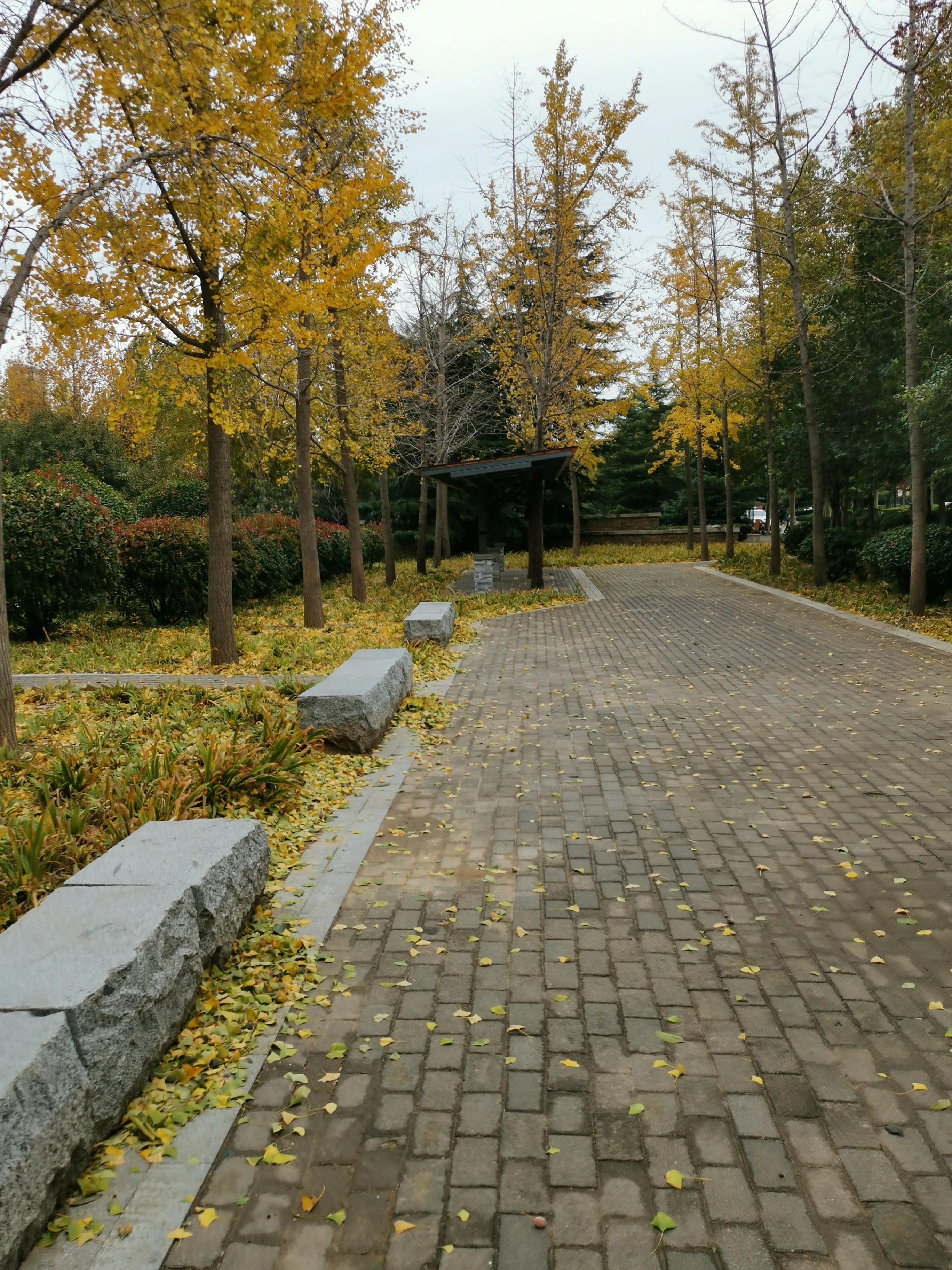 郑州限行2021年5月最新通知
 /郑州限行2021年5月最新通知图片