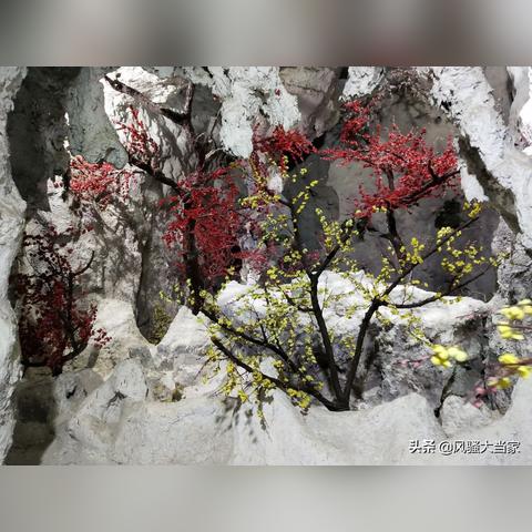 桂林市游玩的地点在哪里