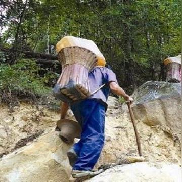 福建金门在哪个地区