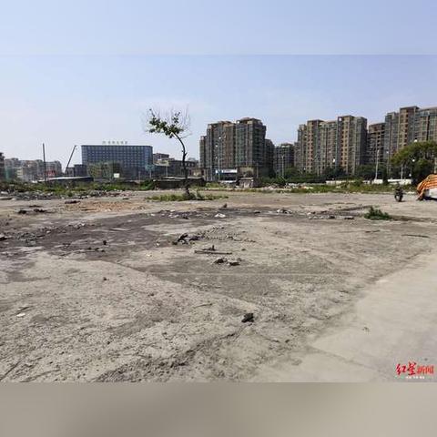 温州市四哥的长尾关键词有哪些