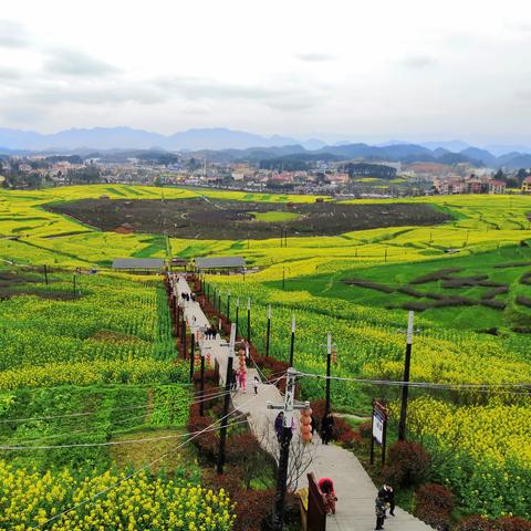 西安市16路什么时候停