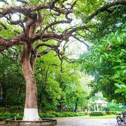 温州市著名庙寺有哪些的长尾关键词有哪些