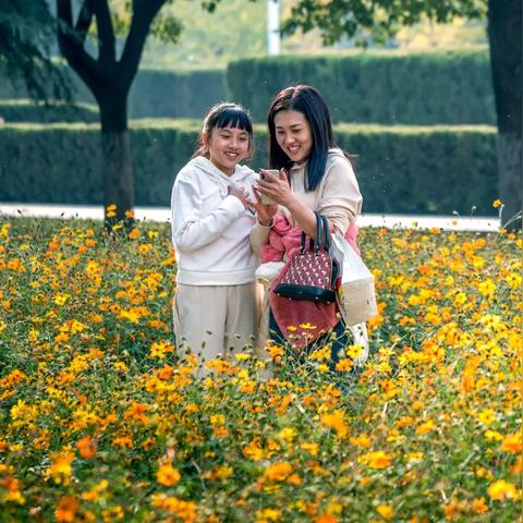 武汉市卖菊花生意怎么样