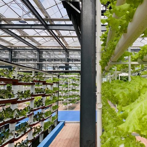 周口市老运河公园简介的长尾关键词有什么