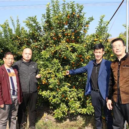 桂林电动摩托车电池修复相关长尾关键词有哪些