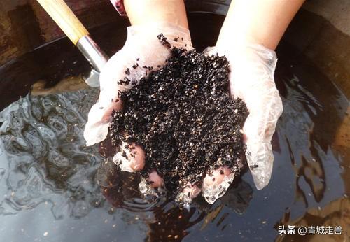 三伏天怎么提高孩子抵抗力
