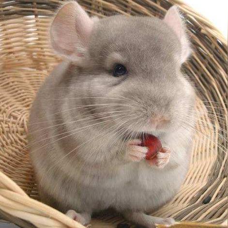 学大数据分析和人工智能的相关长尾关键词有哪些