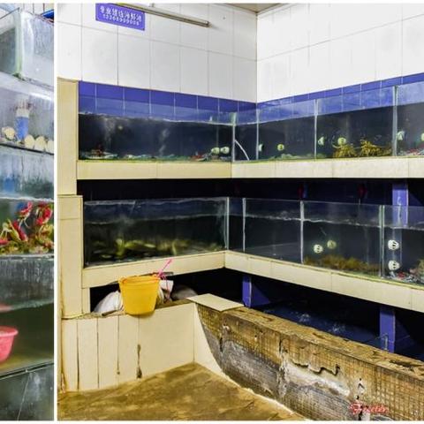 桂林去海口的航班很少的相关长尾关键词有哪些