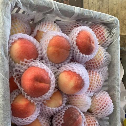 合肥市有多少个批发市场