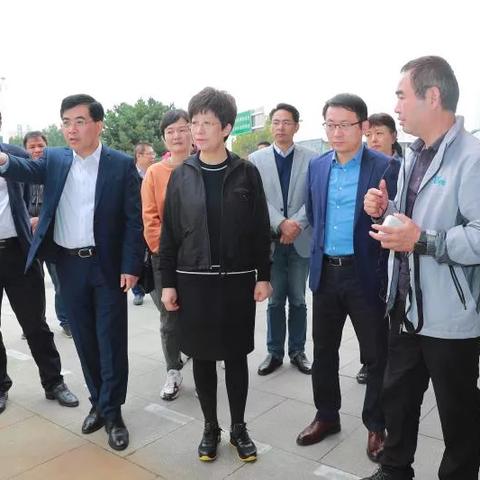 合肥市攀岩队在哪里