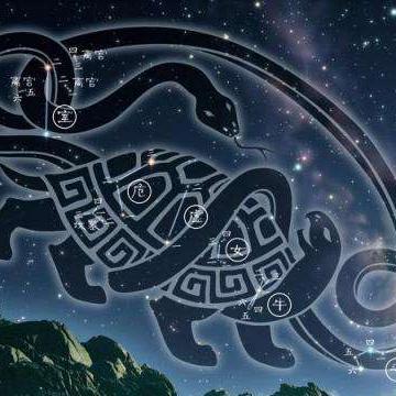 地支亥五行属什么(亥属于五行属什么意思)