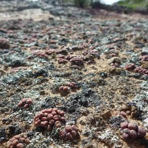 桂林岩兰酒店相关长尾关键词有哪些