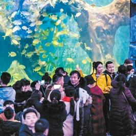 西安市曲江海洋馆怎么去