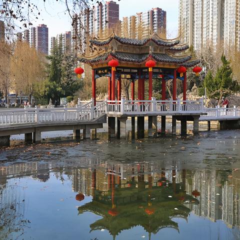 石家庄市哪个公园有腊梅花展览