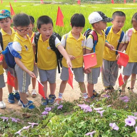 福建鲜花行情怎么样了