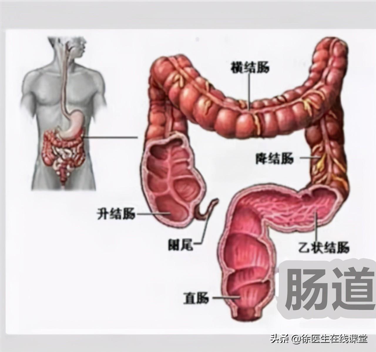 77777888管家婆四肖与2025精准资料免费大全.详细解答、解释与落实！