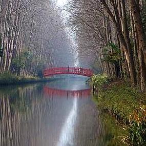 合肥宜居公司相关长尾关键词有哪些