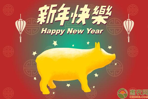 鼠年属猪男宝宝起名,2020年是什么属相