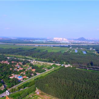 济南大雁聚集相关长尾关键词有哪些