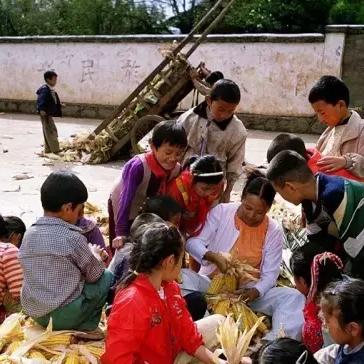 哈尔滨市农村买地多少钱