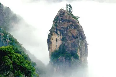 怎么开通微头条号原创 微头条怎么开通原创标签