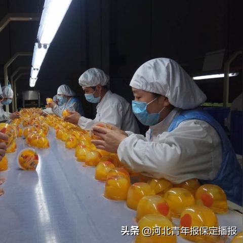 新型肺炎保定市哪里