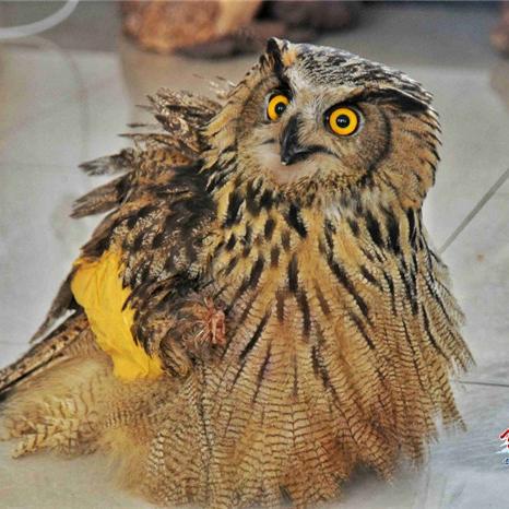 学了护理还可以做什么的长尾关键词有什么